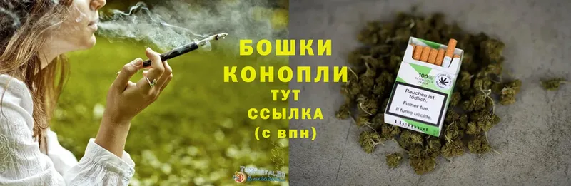 Конопля OG Kush  Минусинск 